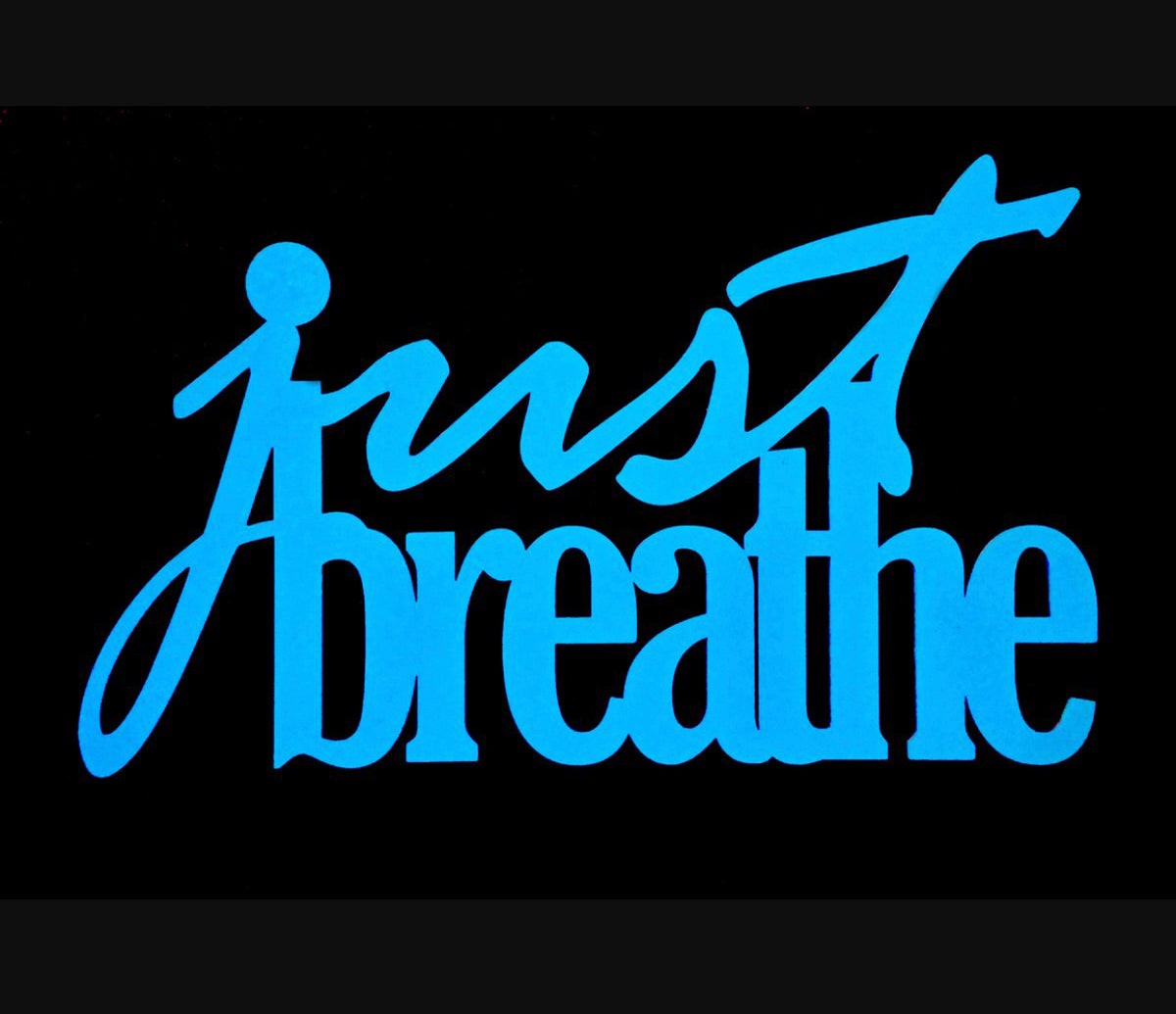 The Bas Rutten O2 Lung Trainer- Devin Castille Review – Bas Rutten ...